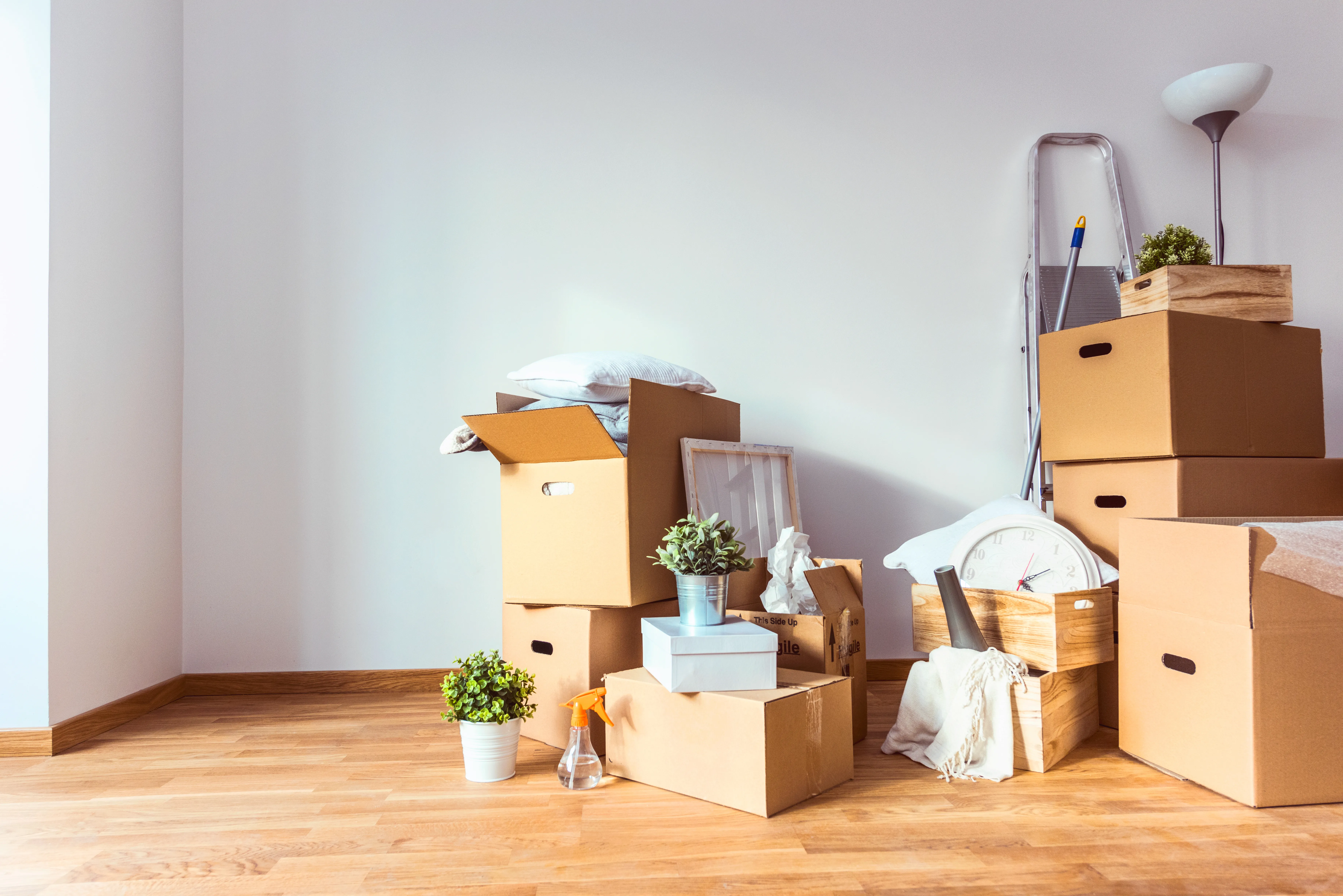 Move-In / Move-Out Cleaning